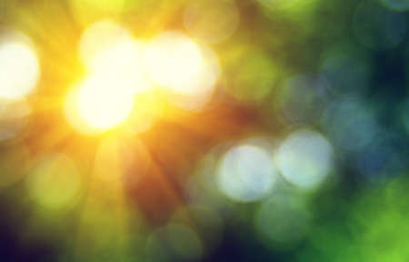 Green blurred background, the bokeh effect.