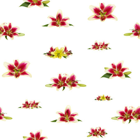 Seamless pattern with lily flowers and green bud . Hand drawn background. floral  wallpaperの写真素材