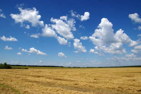 sky background and white clouds