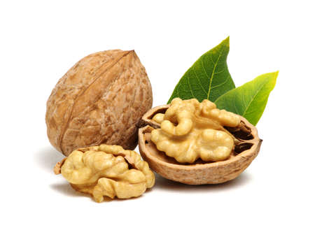 Walnuts with leaves isolated on whiteの写真素材