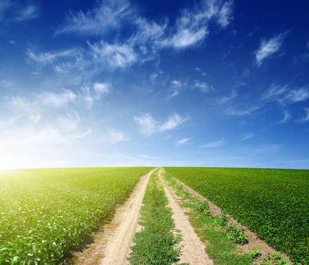 road in green field and blue sky with cloudsの写真素材
