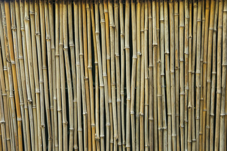 Background, texture, brown bamboo fenceの写真素材