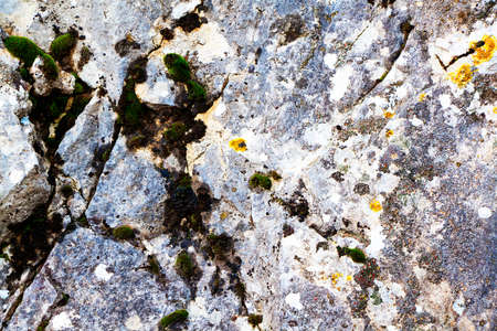 Stone surface with green moss.の写真素材