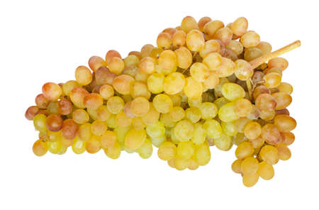 Bunch of grapes on a white background. Isolate.の写真素材