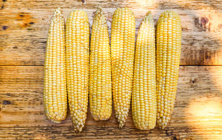 Fresh ears of corn lie on a wooden table. Summer background.の写真素材