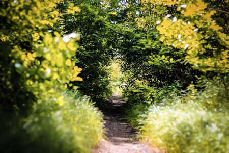 rticoの写真素材