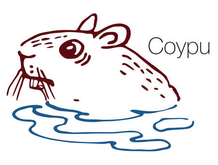 Coypu hand drawn vector illustrationのイラスト素材