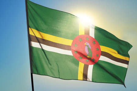 Dominica flag waving on the wind in front of sunの写真素材