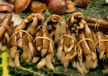 snail snails food buffet seafood market sticksの写真素材