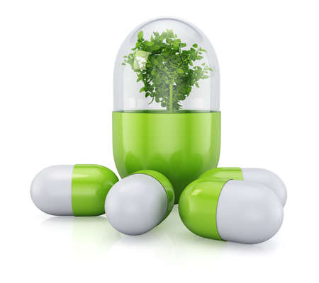 Medical pill with plant inside. Herbal medicine concept isolated on white background.の写真素材