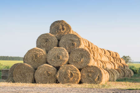 Stacks of straw in the summer afternoon on a farmの写真素材