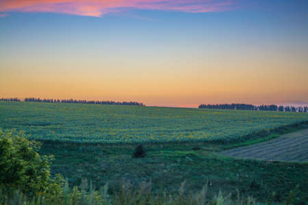 Landscape sunset in the countryside in the fieldの写真素材