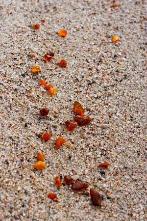 The pieces of amber on the sea sandの写真素材