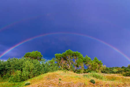beautiful colourful rainbow over the green treesの写真素材