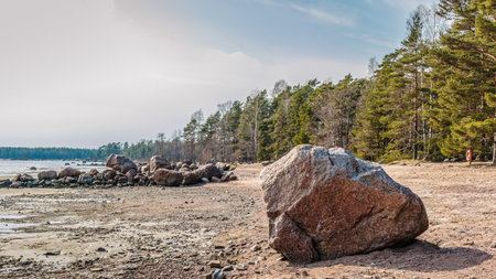 Big granite stone and view on forest near the sea on sunny dayの写真素材