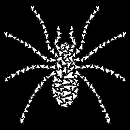 white spider of small flies on black 