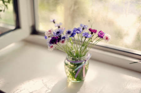 Bouquet of scarlet roses in a pot on a window sill early inの写真素材
