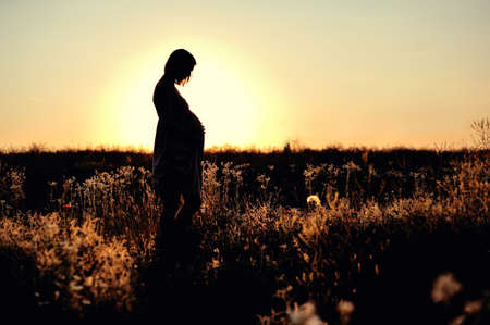 tummy of the pregnant womanの写真素材