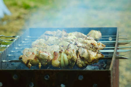 On a brazier the appetizing shish kebab from meat with onions is friedの写真素材