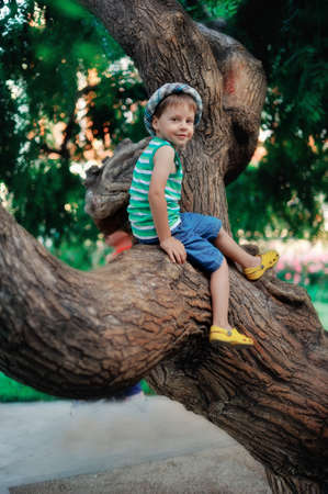 the boy in a hat sits on a big treeの写真素材
