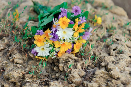 on the earth the bouquet of different wild flowers liesの写真素材