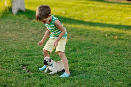 on a lawn play the child with a puppy of a pugの写真素材