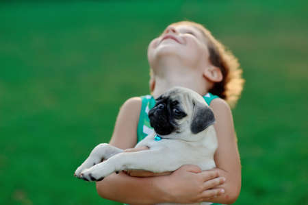 on a lawn play the child with a puppy of a pugの写真素材