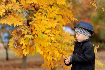 the boy in the autumn wood in a hat and a coat among treesの写真素材