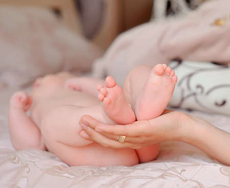 on a white background mother s hands hold gently feet of the babyの写真素材