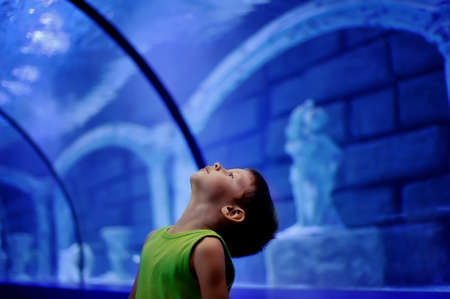on a blue background boy looking up at the beautiful view in the aquariumの写真素材
