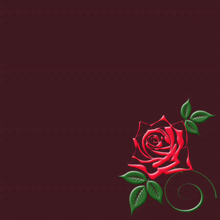 illustration on the burgundy red background beautiful roseの写真素材