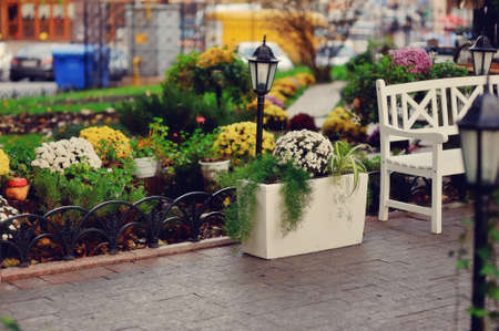 bed with autumn flowersの写真素材