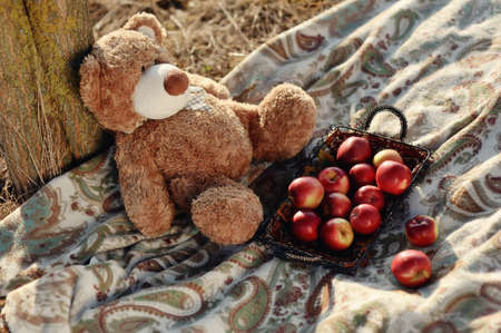under a tree on a blanket sitting bear with red applesの写真素材