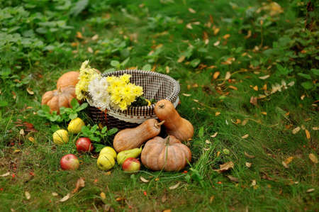 Colorful squash and mini pumpkins with fabric fall leaves for a harvest theme