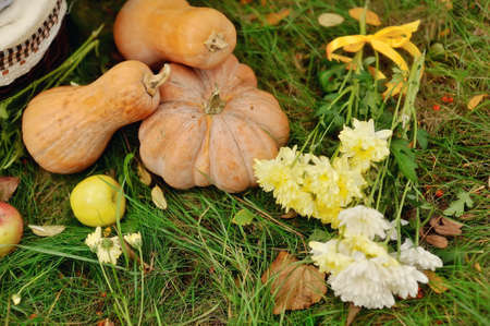 Colorful squash and mini pumpkins with fabric fall leaves for a harvest themeの写真素材