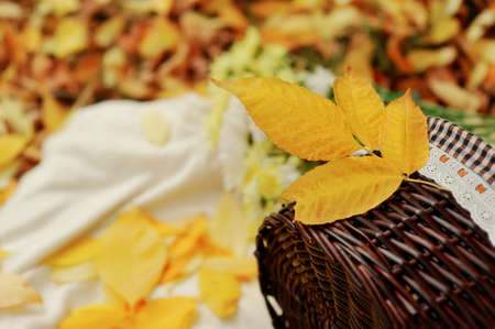 on the background of leaves is woven basket and bouquet of autumn flowersの写真素材