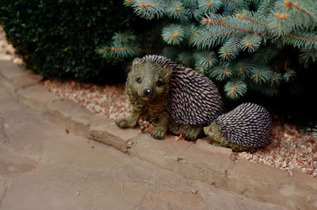 under the tree by the road sit two hedgehogの写真素材