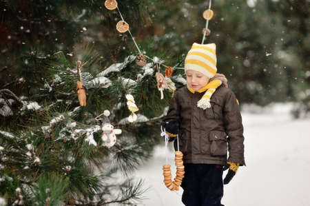 in the forest boy decorates a Christmas tree toysの写真素材