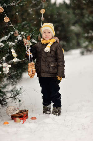 in the forest boy decorates a Christmas tree toysの写真素材