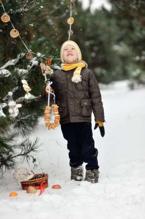 in the forest boy decorates a Christmas tree toysの写真素材