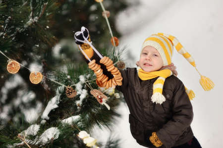 in the forest boy decorates a Christmas tree toysの写真素材