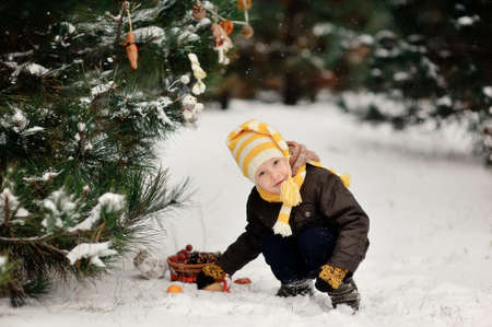 snowy winter outdoors boy dresses up Christmas tree bagels and toysの写真素材