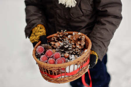 boy holding a basket of pine cones and frozen grapesの写真素材