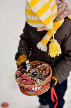 boy holding a basket of pine cones and frozen grapesの写真素材