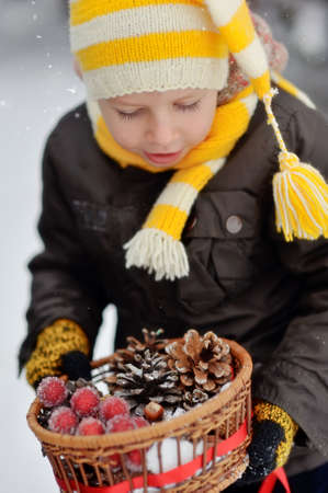 boy holding a basket of pine cones and frozen grapesの写真素材