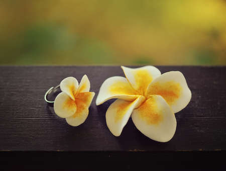 on a brown background is an ornament of flowersの写真素材