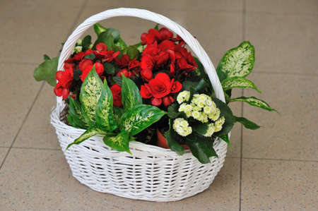 Beautifully issued bouquet from white and red flowers in the big basketの写真素材