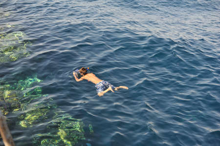 in the blue sea swims guy studying the seabedの写真素材