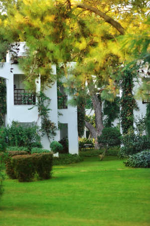 green lawn with trees near the houses of whiteの写真素材