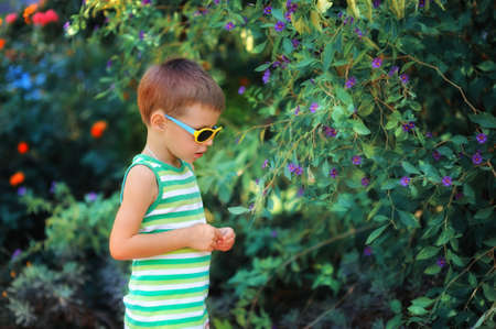 little boy in a green shirt and sunglasses, walks among the green plantsの写真素材